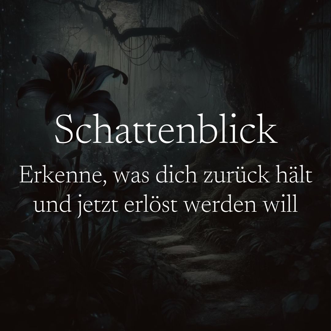 Schattenblick | Kartenlegung als Videobotschaft