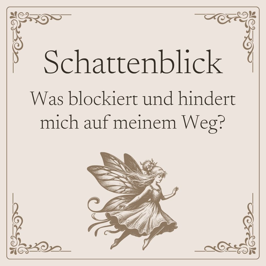 Schattenblick | Kartenlegung als Videobotschaft