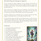 Intuitives Tarot - Eine Einführung ins Kartenlegen - eBook
