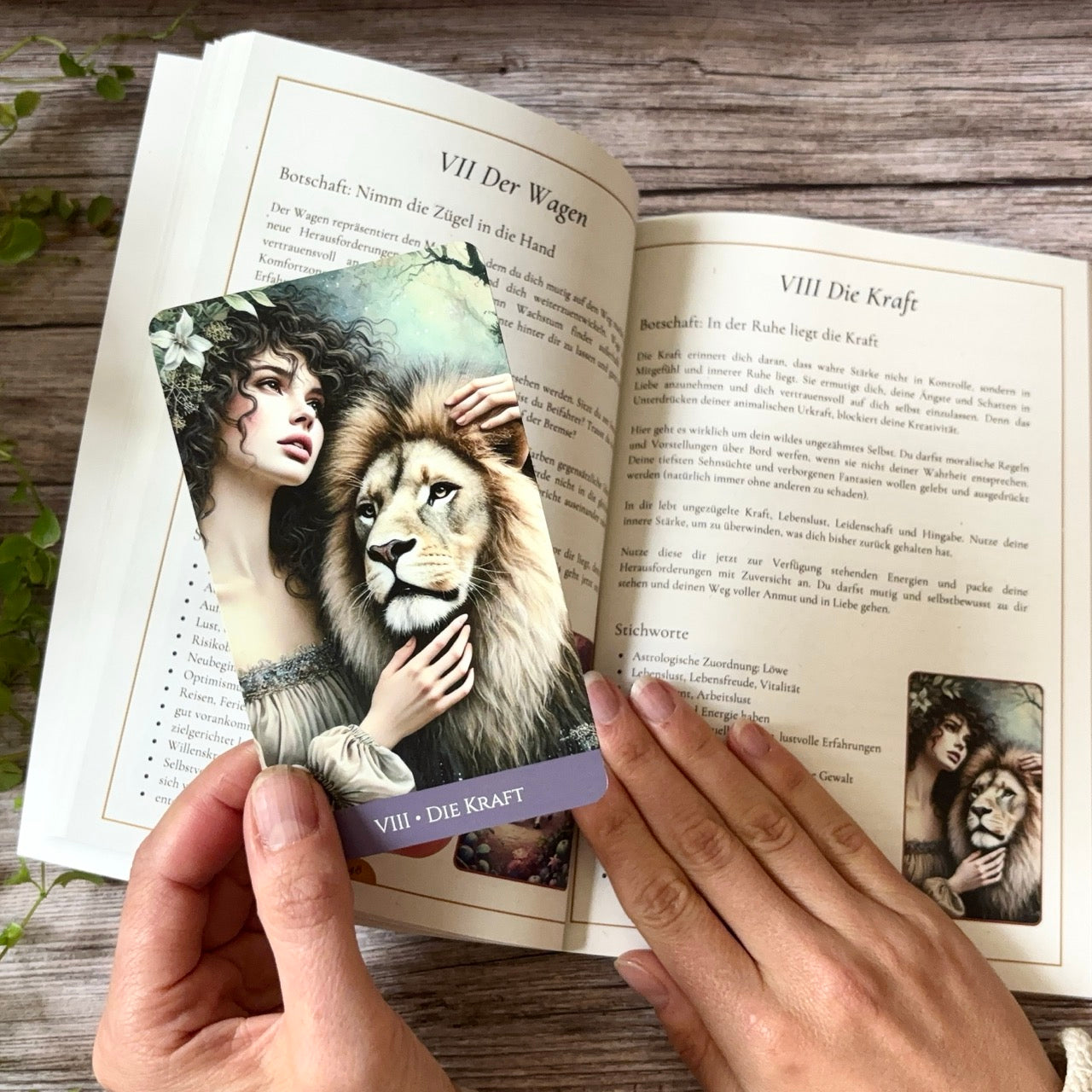 Intuitives Tarot - Eine Einführung ins Kartenlegen - Druckausgabe