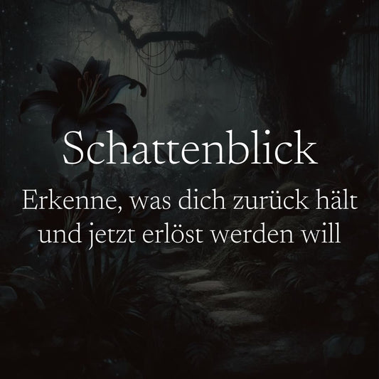 Schattenblick | Kartenlegung als Videobotschaft
